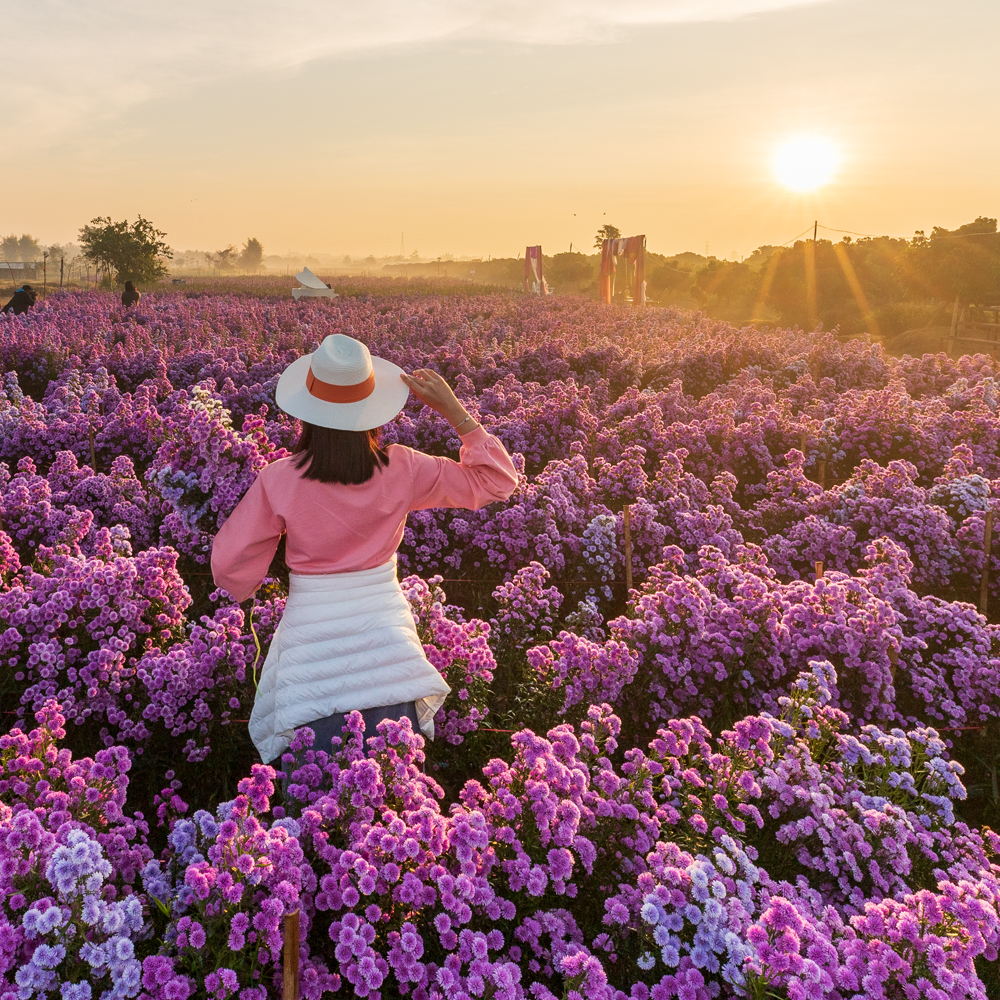 Tourism Authority of Thailand, Malaysia