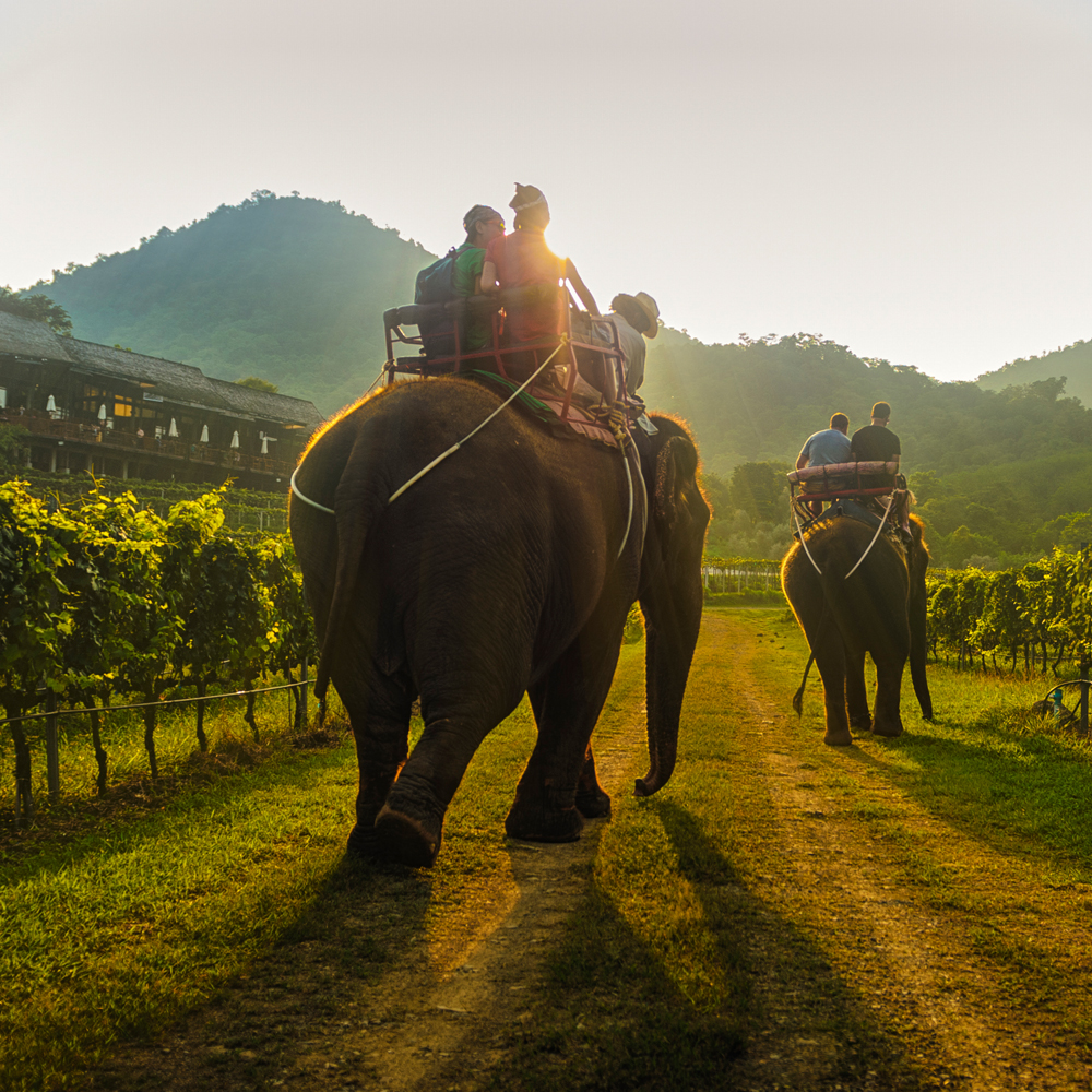 Tourism Authority of Thailand, Malaysia